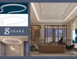 SNAKE折り上げ天井イメージ