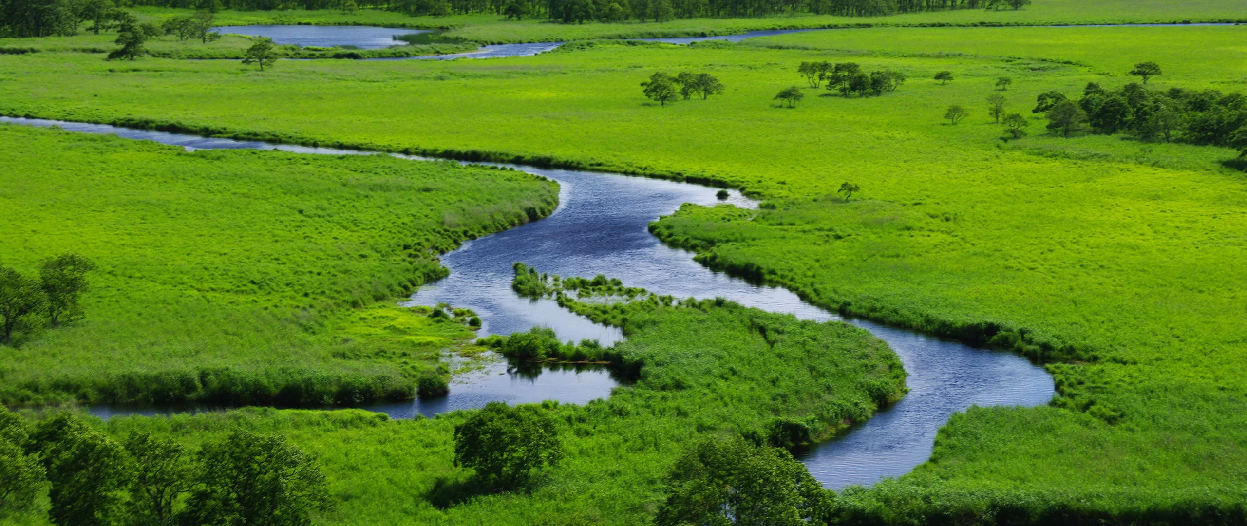 世界有数の湿原景観を誇る釧路湿原。蛇行する釧路川と周囲の湿生植物が織りなす、自然のグラデーションが美しい湿原生態系
