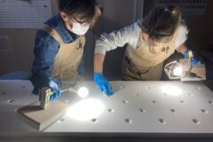 研磨をする職人達